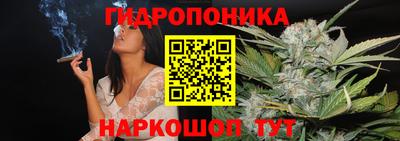 ALPHA-PVP Бийск