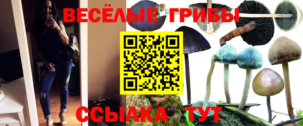 Галлюциногенные грибы мицелий Клин