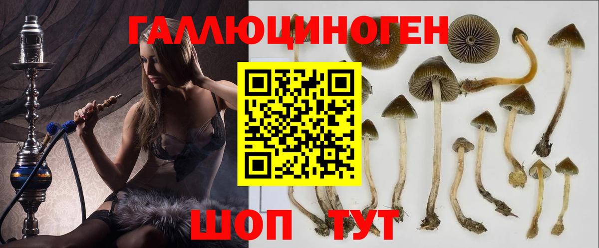 магазин продажи   Вход с VPN  Клин  Галлюциногенные грибы Magic Shrooms  Галлюциногенные грибы мухоморы 